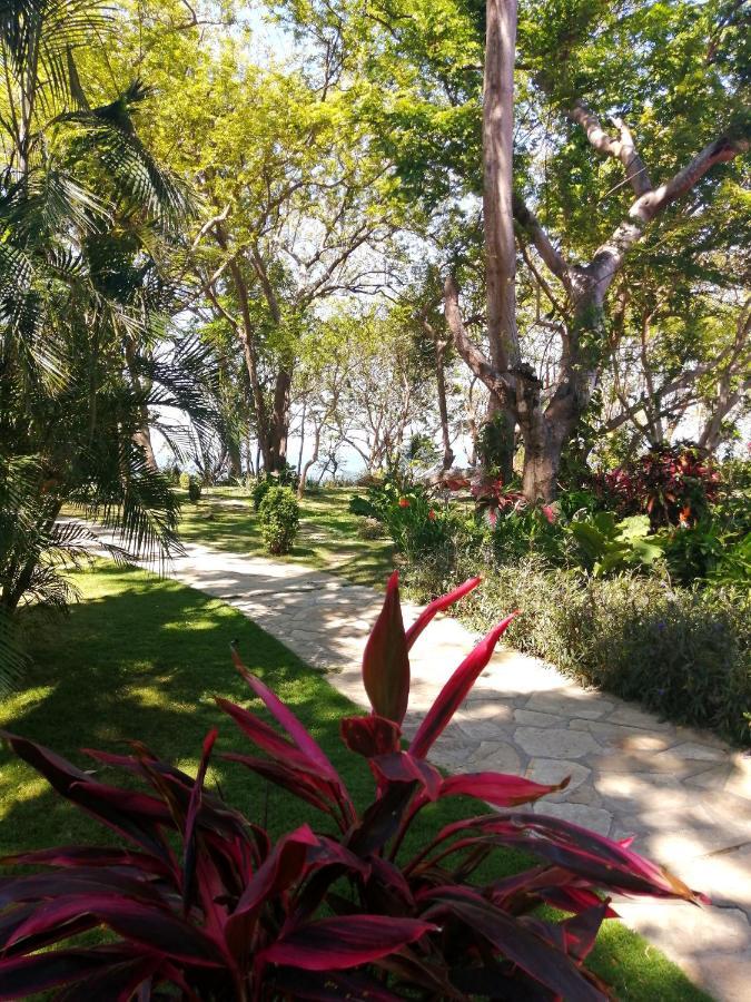 Xalli Beach Hotel Altagracia Εξωτερικό φωτογραφία