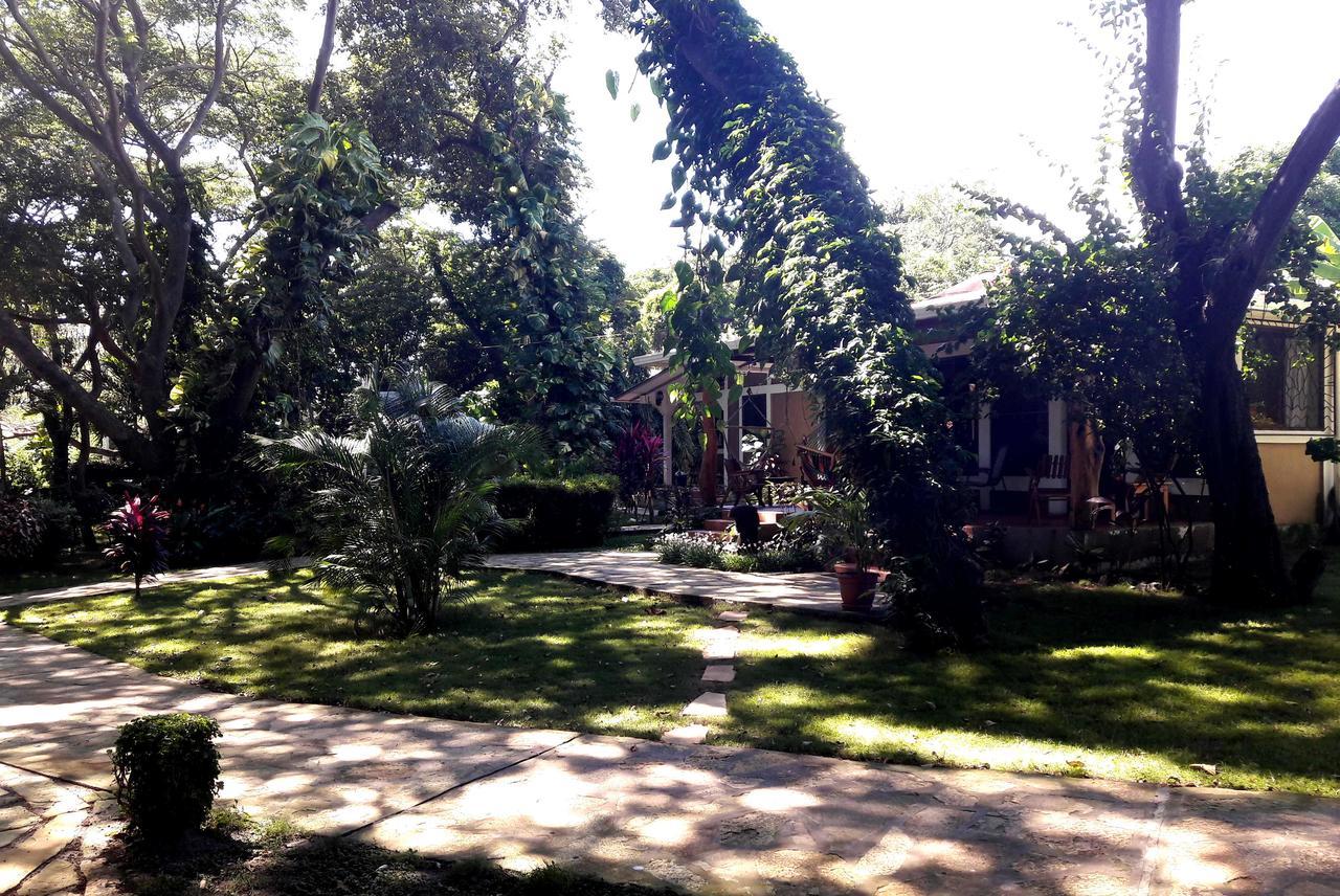 Xalli Beach Hotel Altagracia Εξωτερικό φωτογραφία